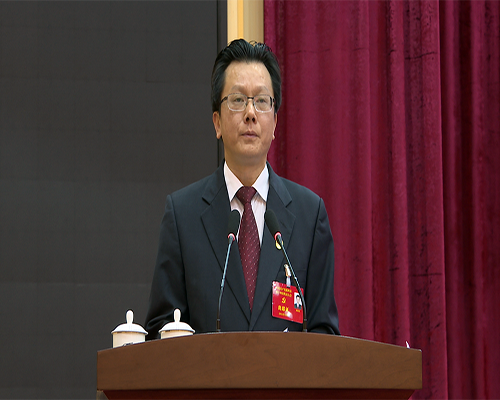 党代会开幕.png