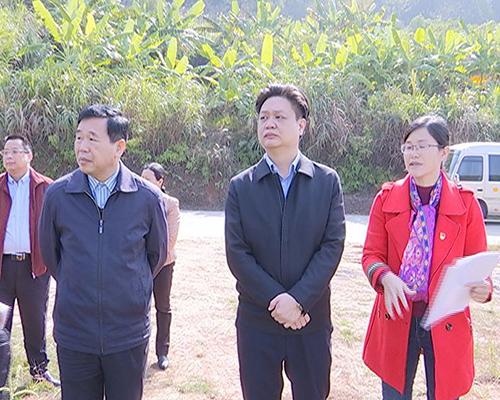 陈伟明到蓝坊镇调研 匠心建设新农村 推动乡村振兴