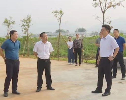 陈伟明深入蕉城镇调研 坚持主题教育与推动改革发展相结合 提升人民