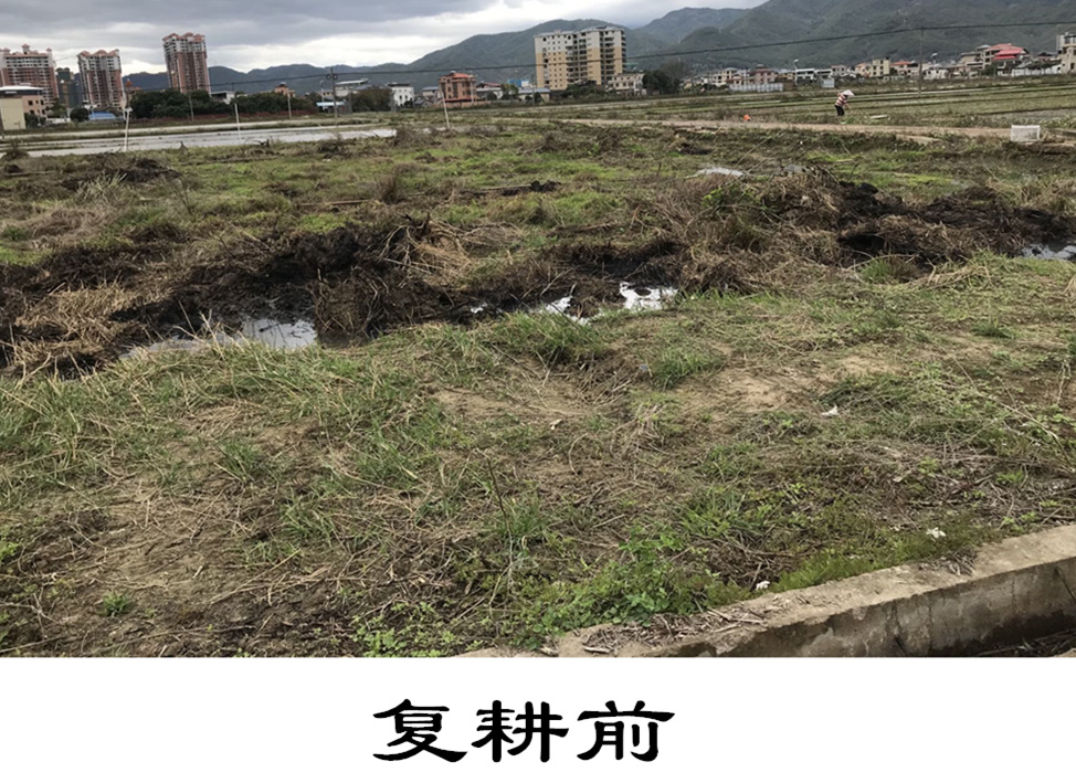 陂角村复耕前_副本.jpg