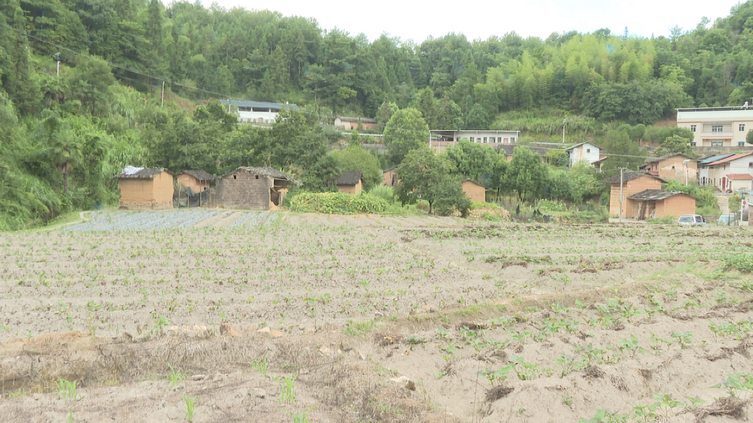 撂荒地复耕复种 (1).png