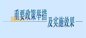 重要政策举措及实施效果