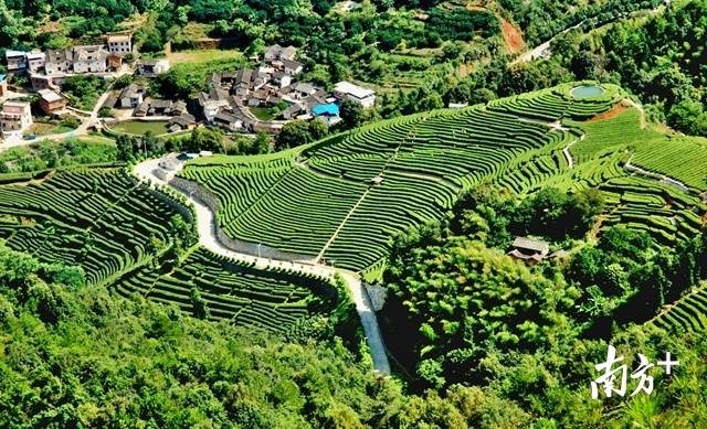 梅州田园风光。
