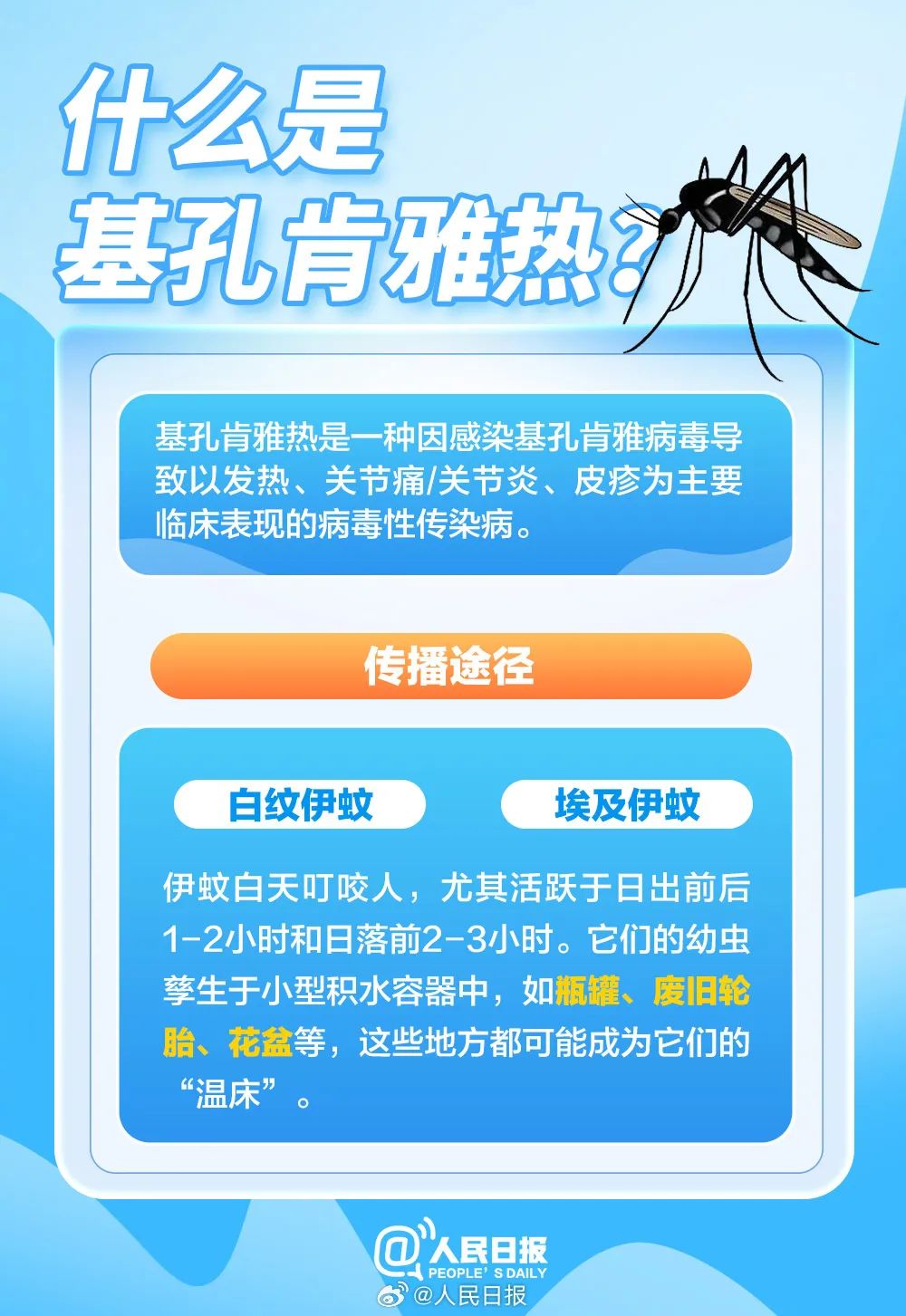 图片二.jpg
