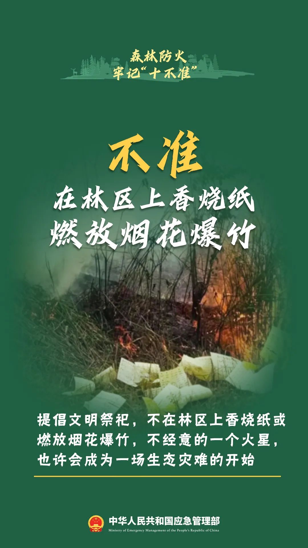 75476cd510e5799e1cbc.jpeg