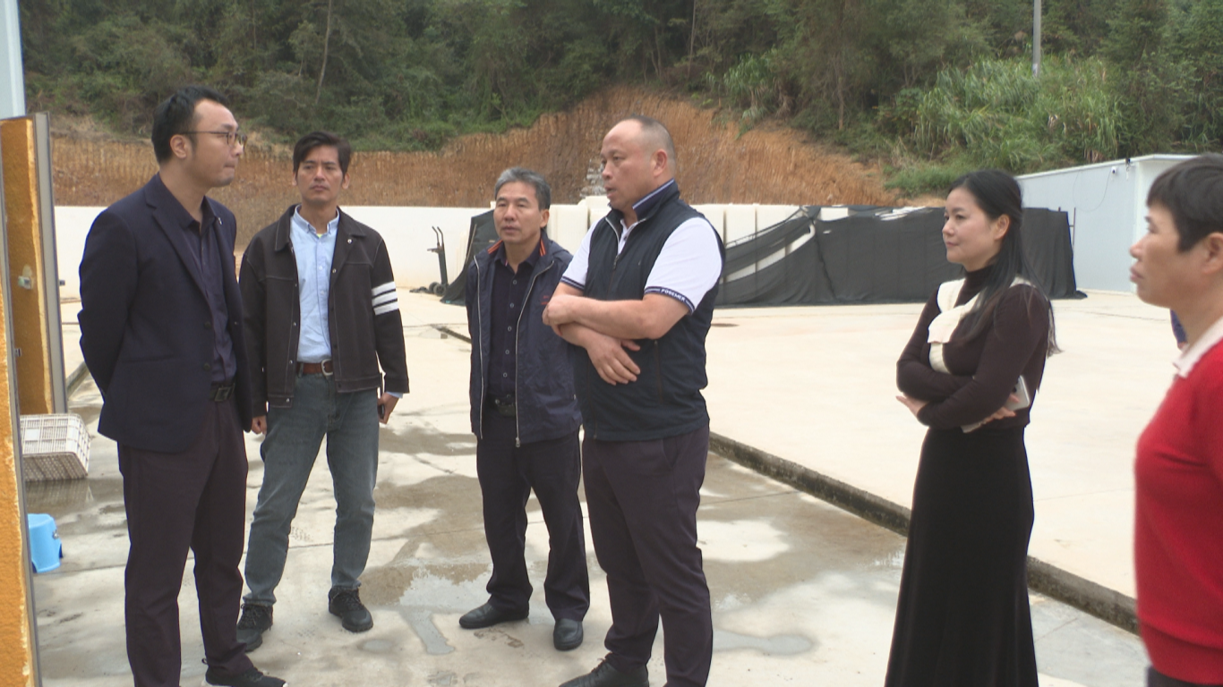 番禺农业来蕉 (3).png