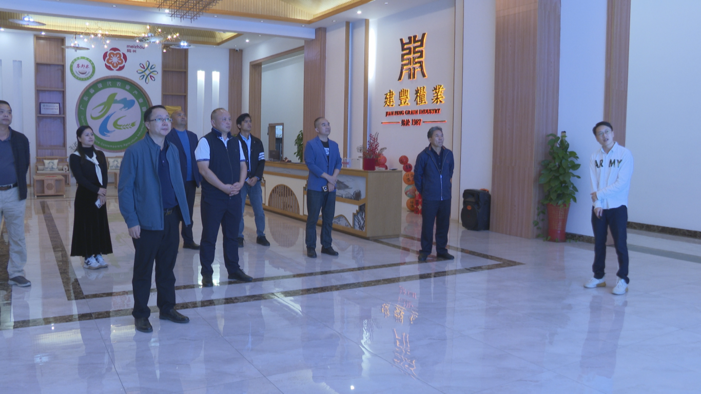 番禺农业来蕉 (1).png