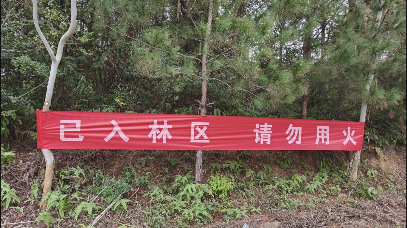 11.27文福森林防火 (6).jpg