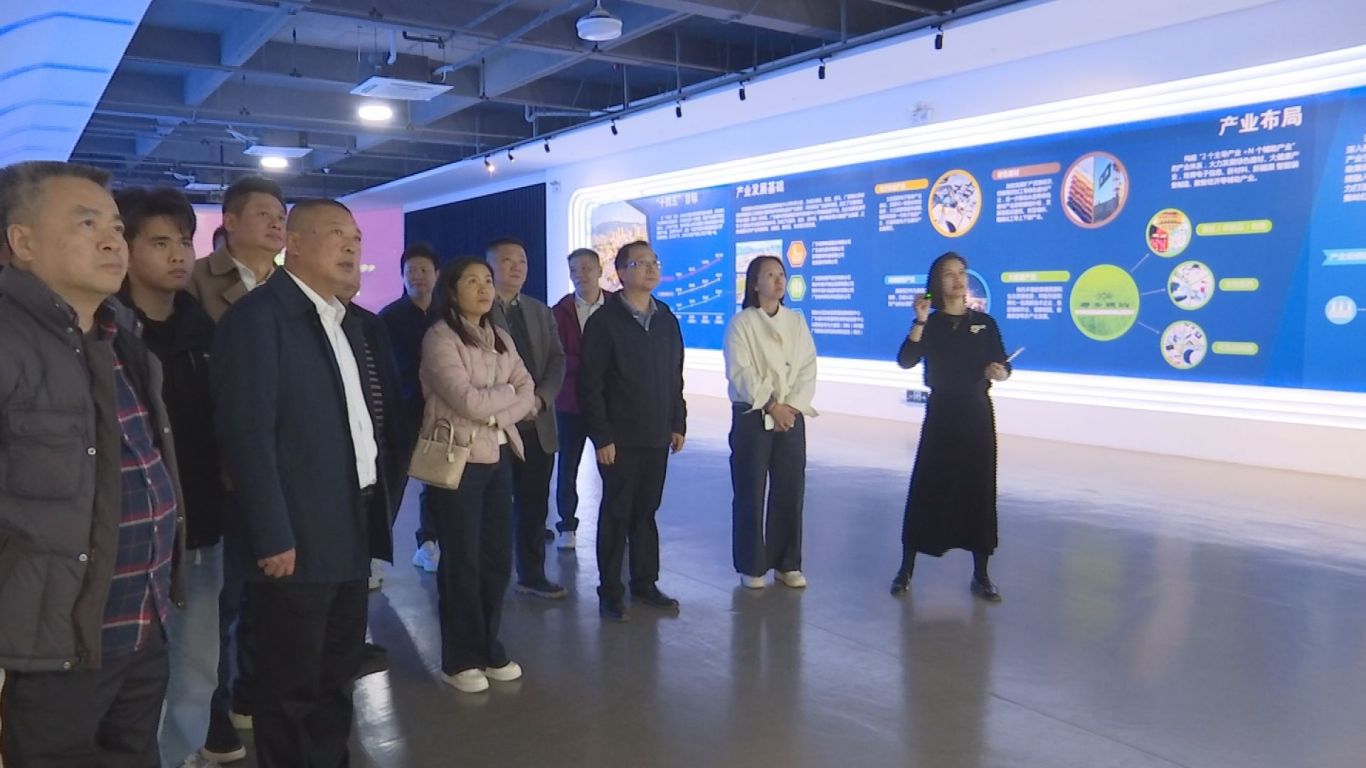 11.28番禺区工商联来蕉调研 (2).jpg