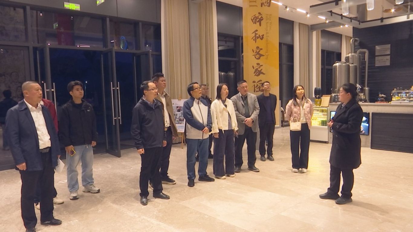 11.28番禺区工商联来蕉调研 (3).jpg