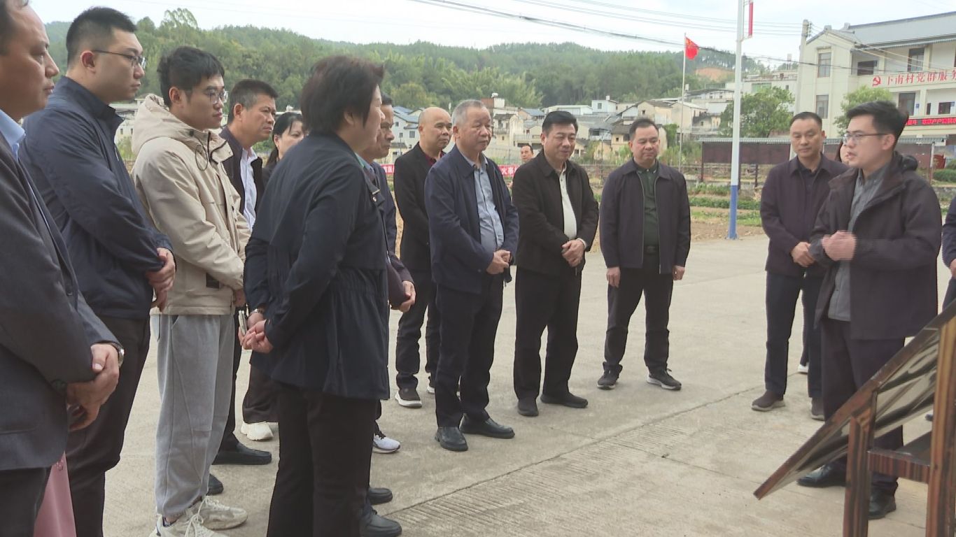 1127汕尾市政协来蕉 (1).jpg