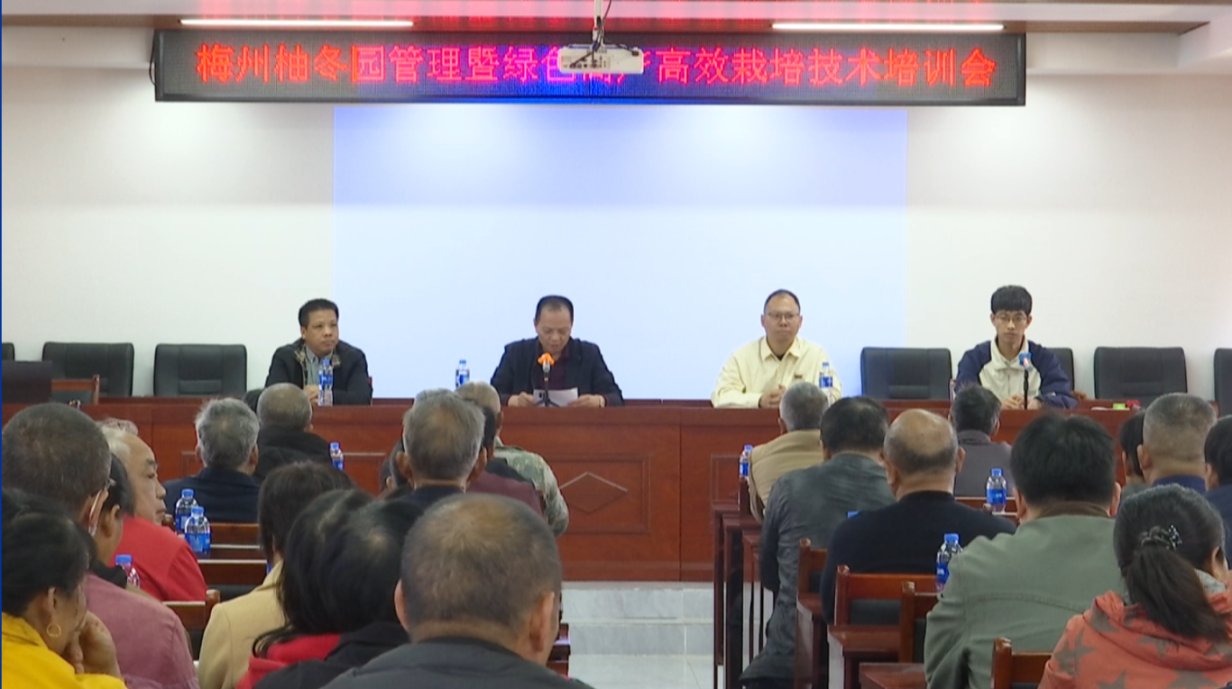屏幕截图 2025-12-12 100905.png