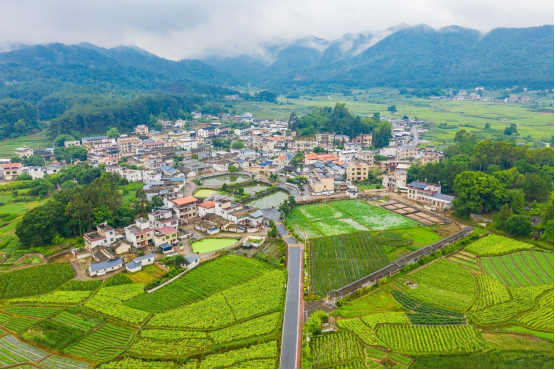 广福镇广育村.png