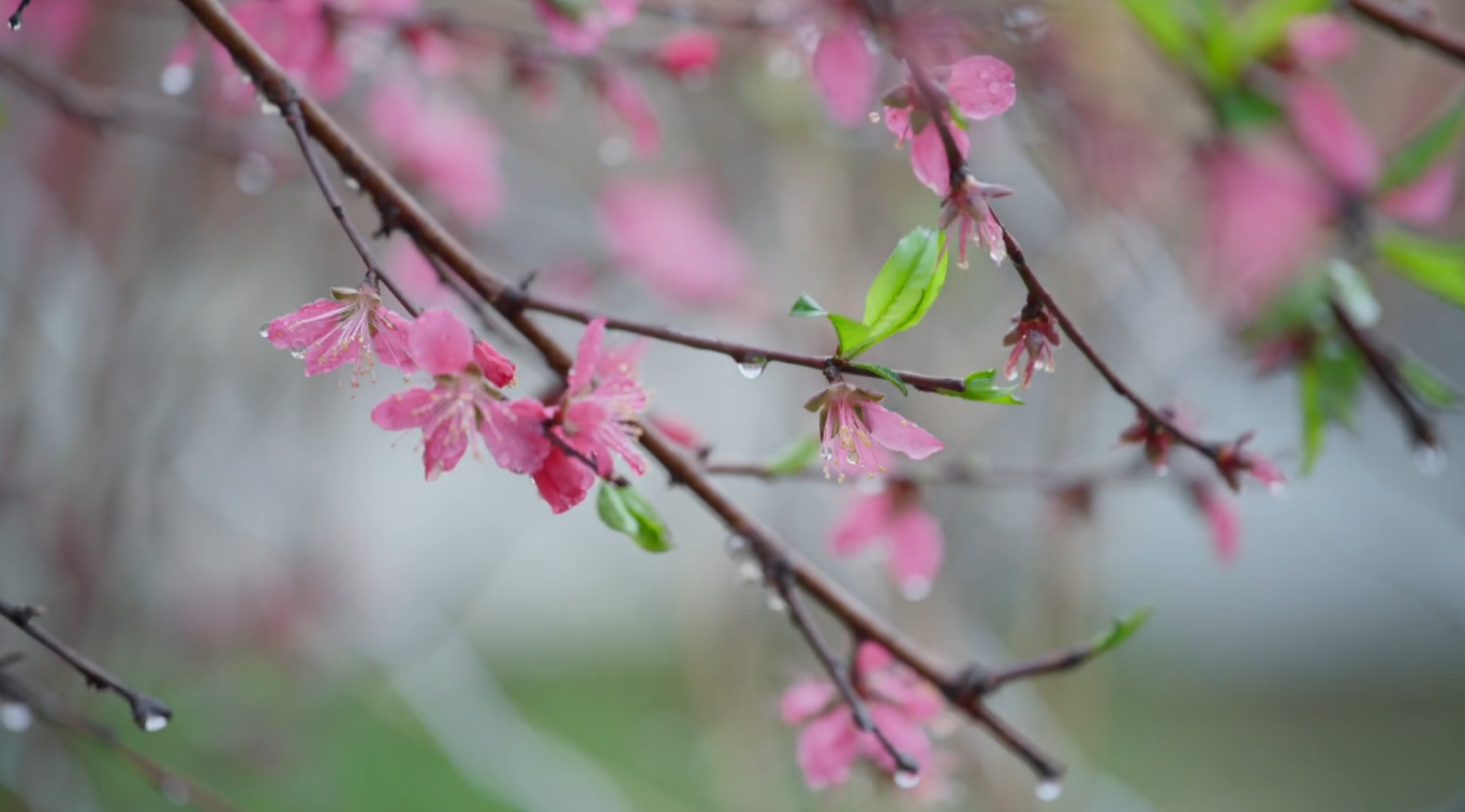 屏幕截图 2026-03-09 150455.png