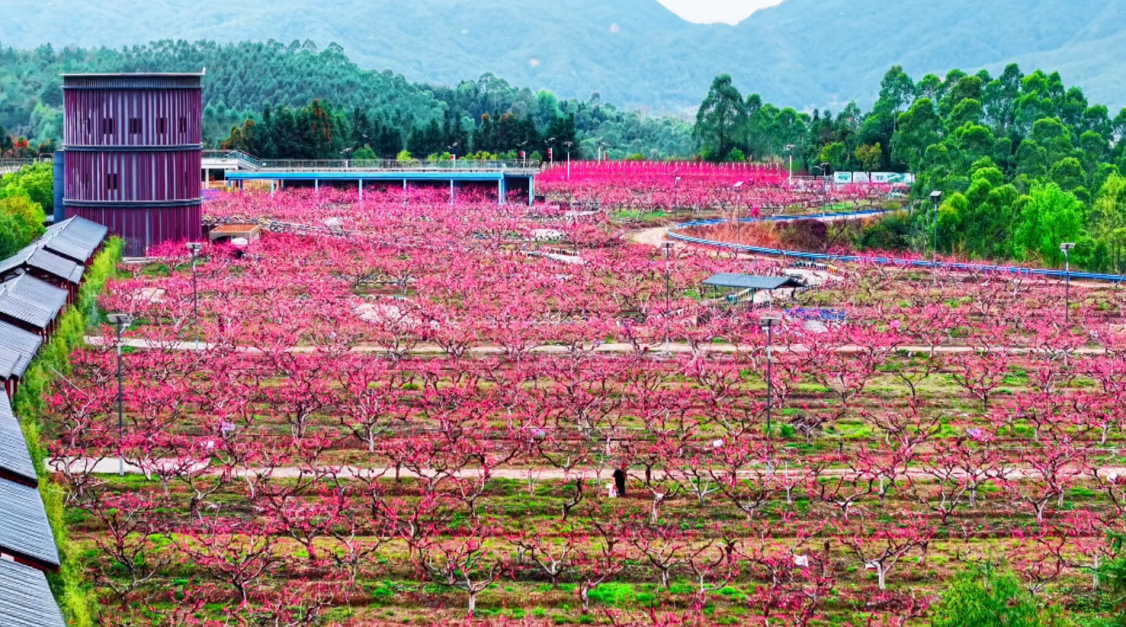 屏幕截图 2026-03-09 150429.png
