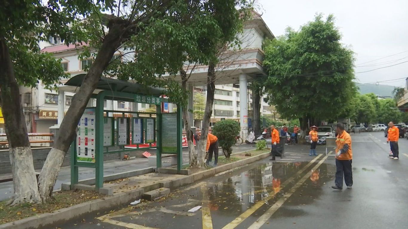3.30城东学校门口烂树 (1).png
