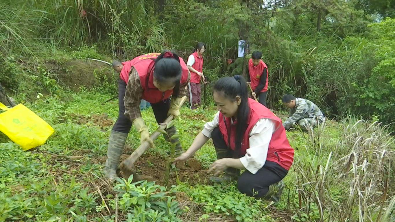 关爱老人协会志愿者植树 (2).png