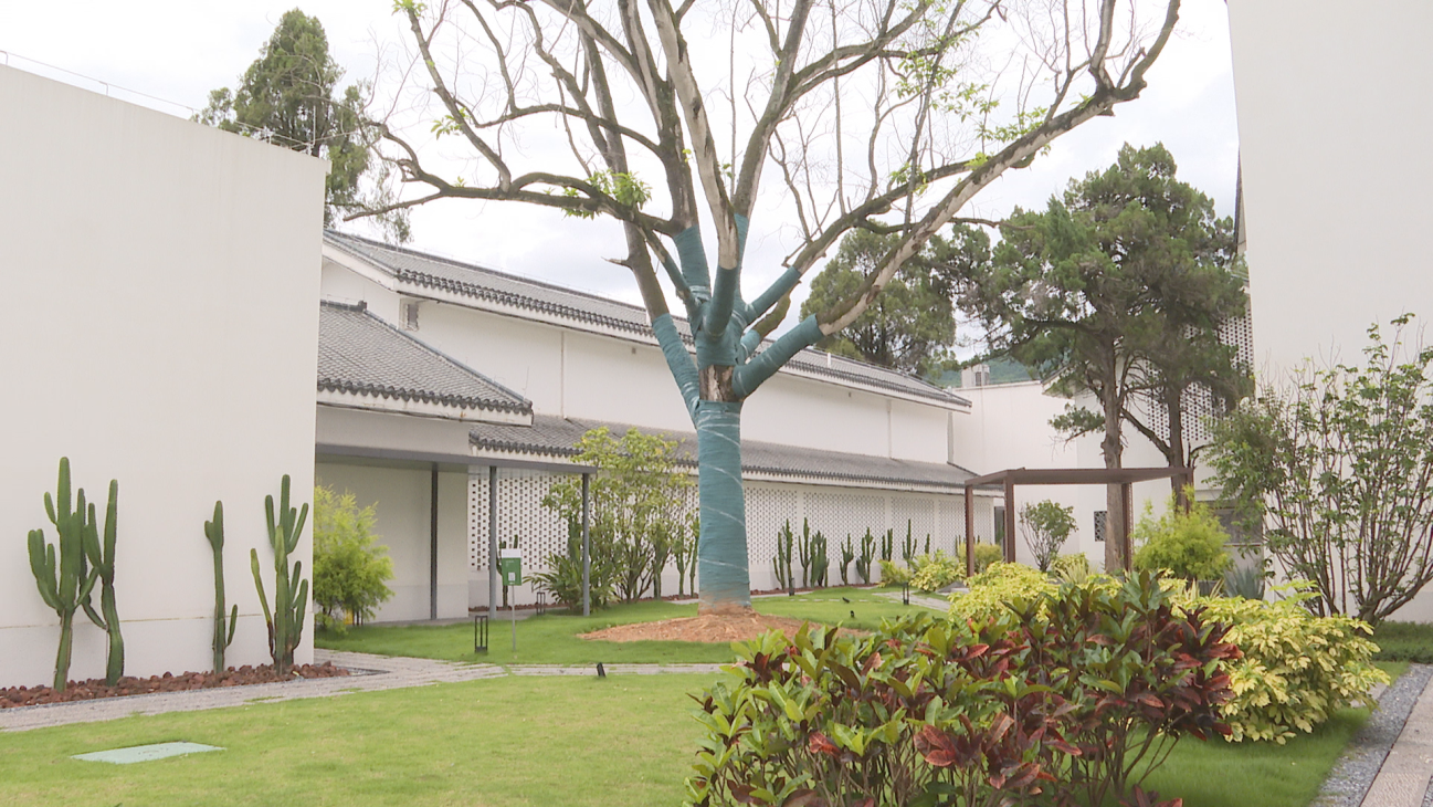 0430 节假日民宿经济 (10).png