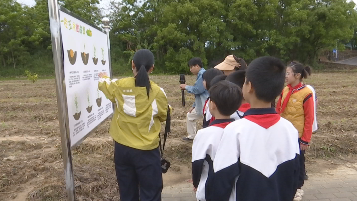 4.30三圳五一学生劳作 (11).png