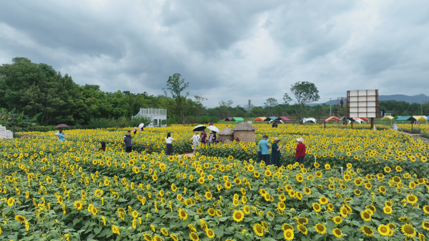 0429 典型村湖谷村 (14).png