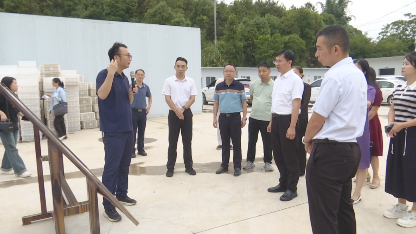 0528 广州大学来蕉 (1).png