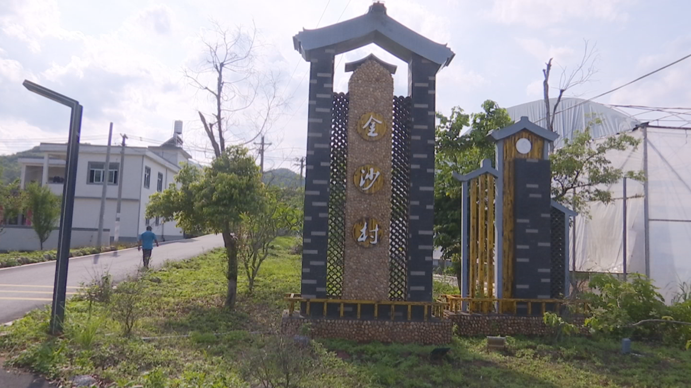 5.7典型村金沙村 (4).png